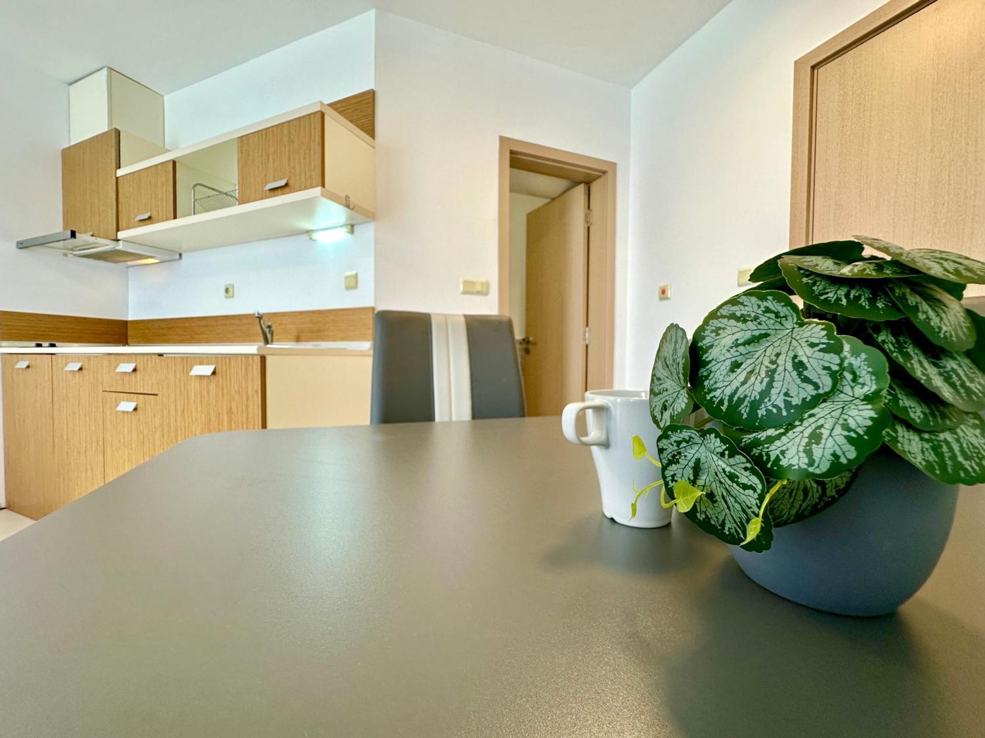 Menada Rainbow Apartments ซันนีบีช ห้อง รูปภาพ